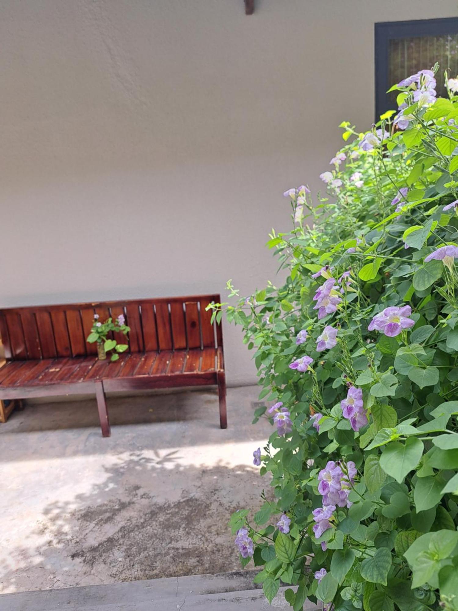 Golden Lotus Spa & Homestay Ap Thien Phuoc Ngoại thất bức ảnh