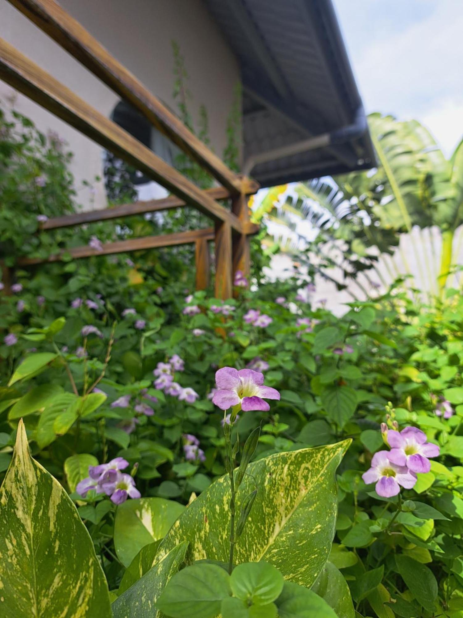 Golden Lotus Spa & Homestay Ap Thien Phuoc Ngoại thất bức ảnh