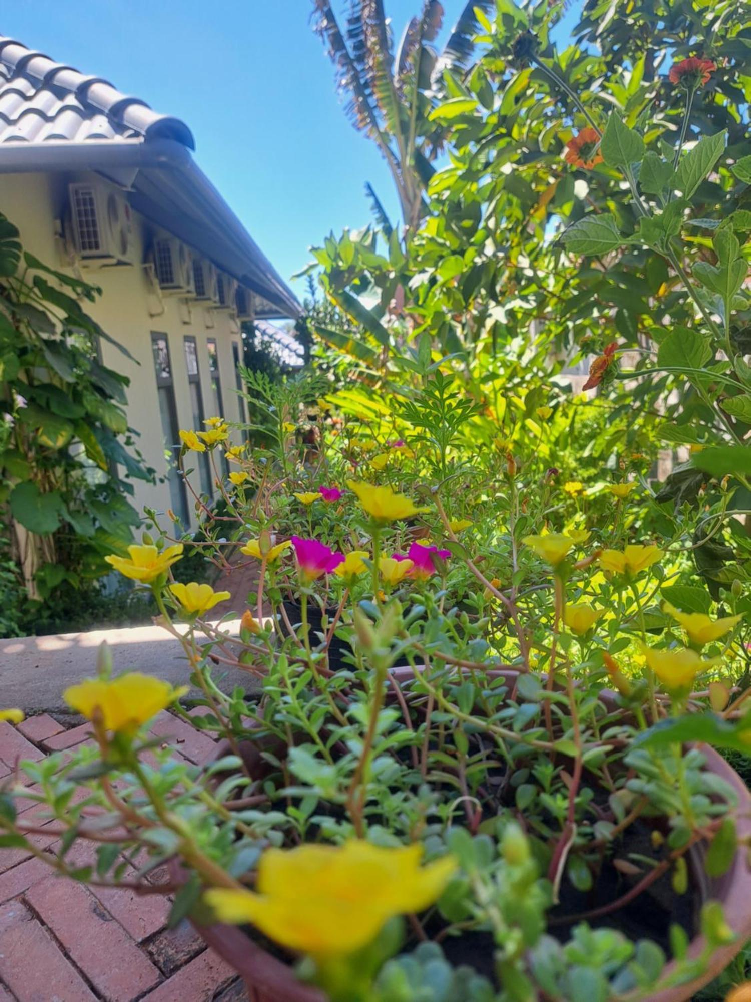 Golden Lotus Spa & Homestay Ap Thien Phuoc Ngoại thất bức ảnh