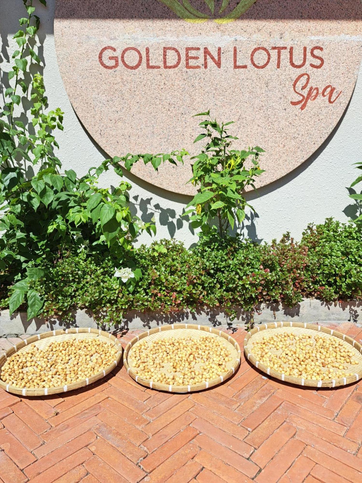 Golden Lotus Spa & Homestay Ap Thien Phuoc Ngoại thất bức ảnh